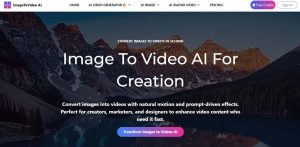Imagetovideoai for video generation